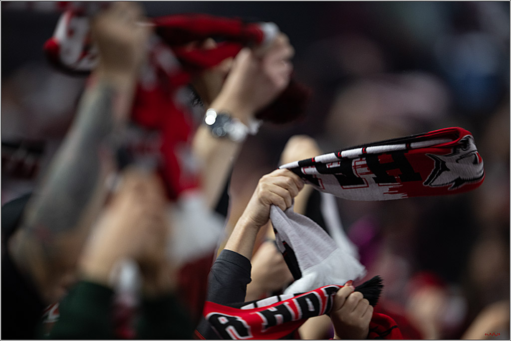 PENNY DEL 1; Kölner Haie - Nürnberg Ice Tigers; Köln, 11.10.2026