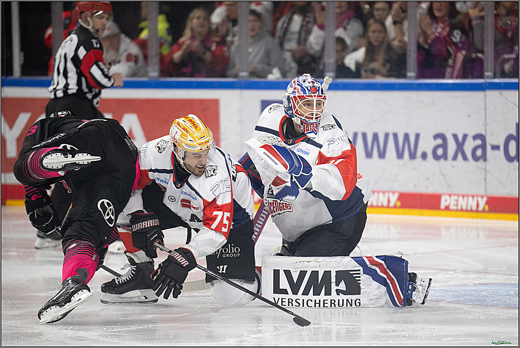 PENNY DEL 1; Kölner Haie - Nürnberg Ice Tigers; Köln, 11.10.2026