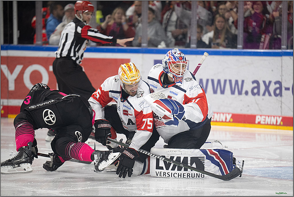 PENNY DEL 1; Kölner Haie - Nürnberg Ice Tigers; Köln, 11.10.2026