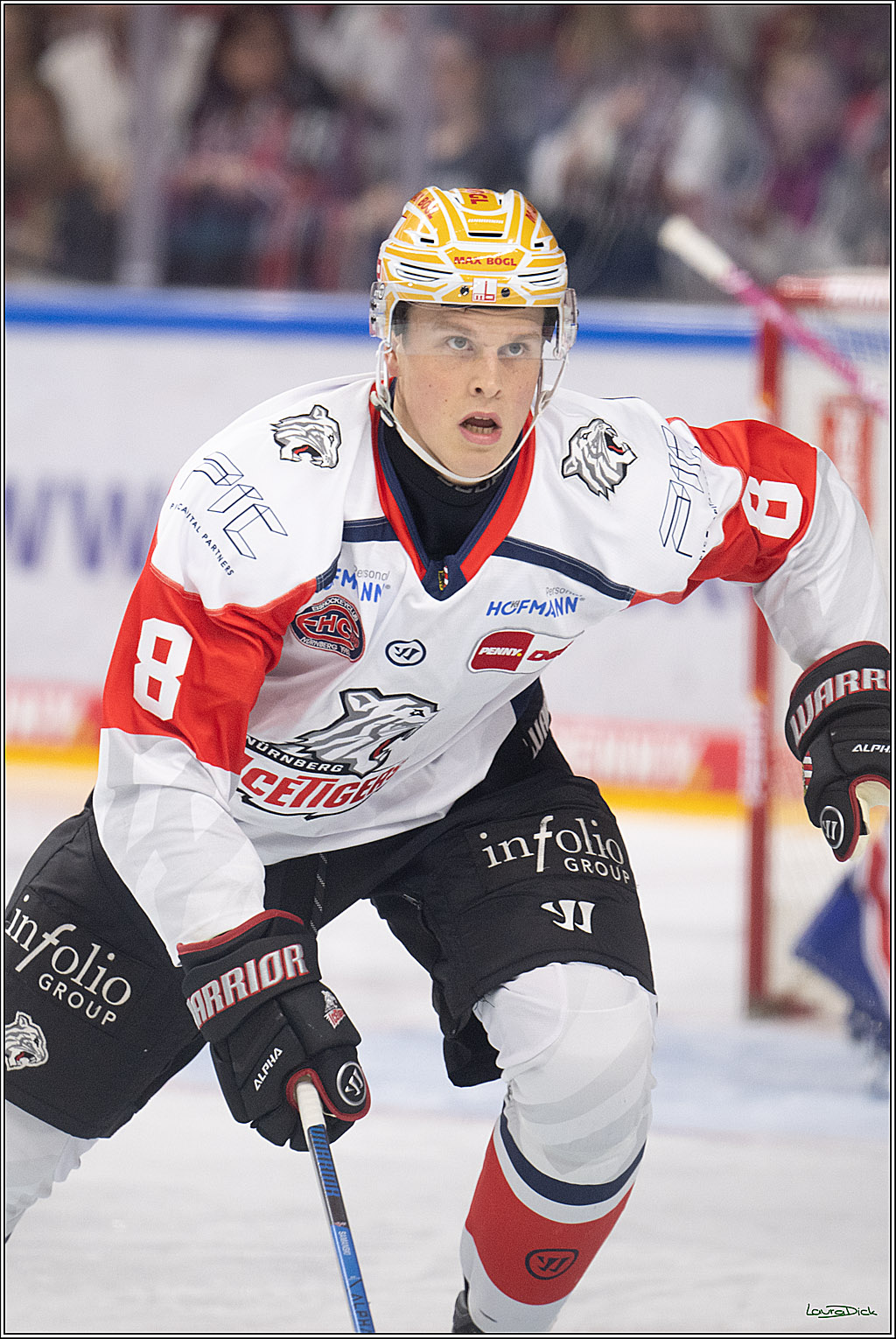 PENNY DEL 1; Kölner Haie - Nürnberg Ice Tigers; Köln, 11.10.2026