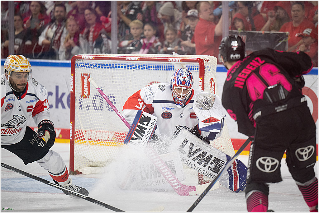PENNY DEL 1; Kölner Haie - Nürnberg Ice Tigers; Köln, 11.10.2026