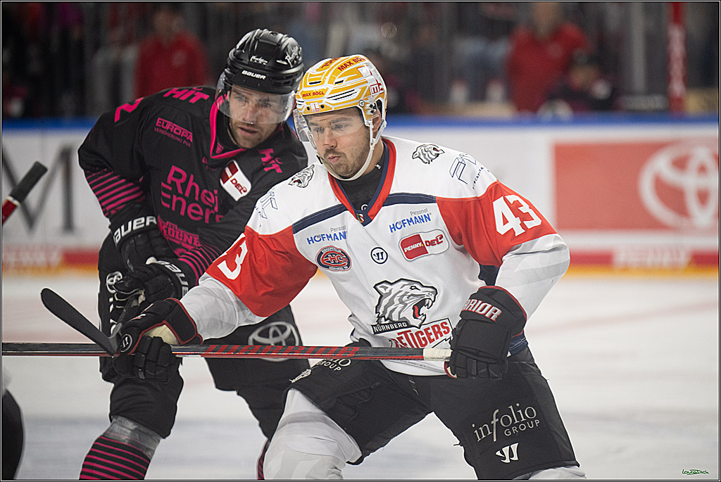 PENNY DEL 1; Kölner Haie - Nürnberg Ice Tigers; Köln, 11.10.2026