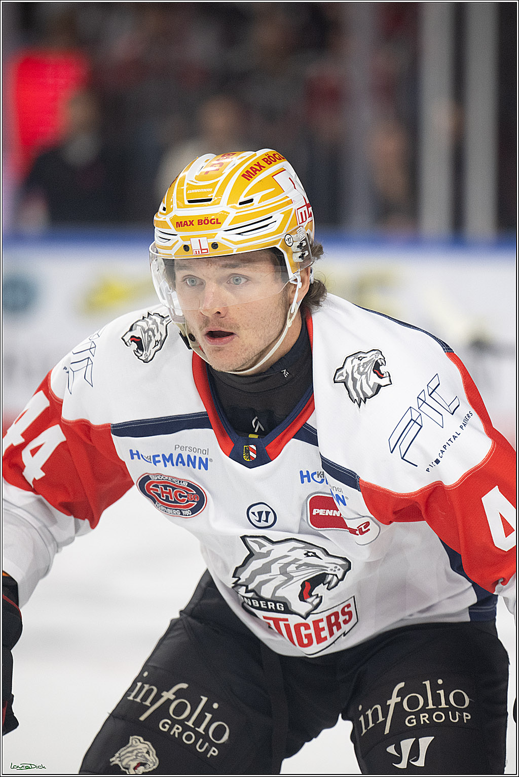 PENNY DEL 1; Kölner Haie - Nürnberg Ice Tigers; Köln, 11.10.2026