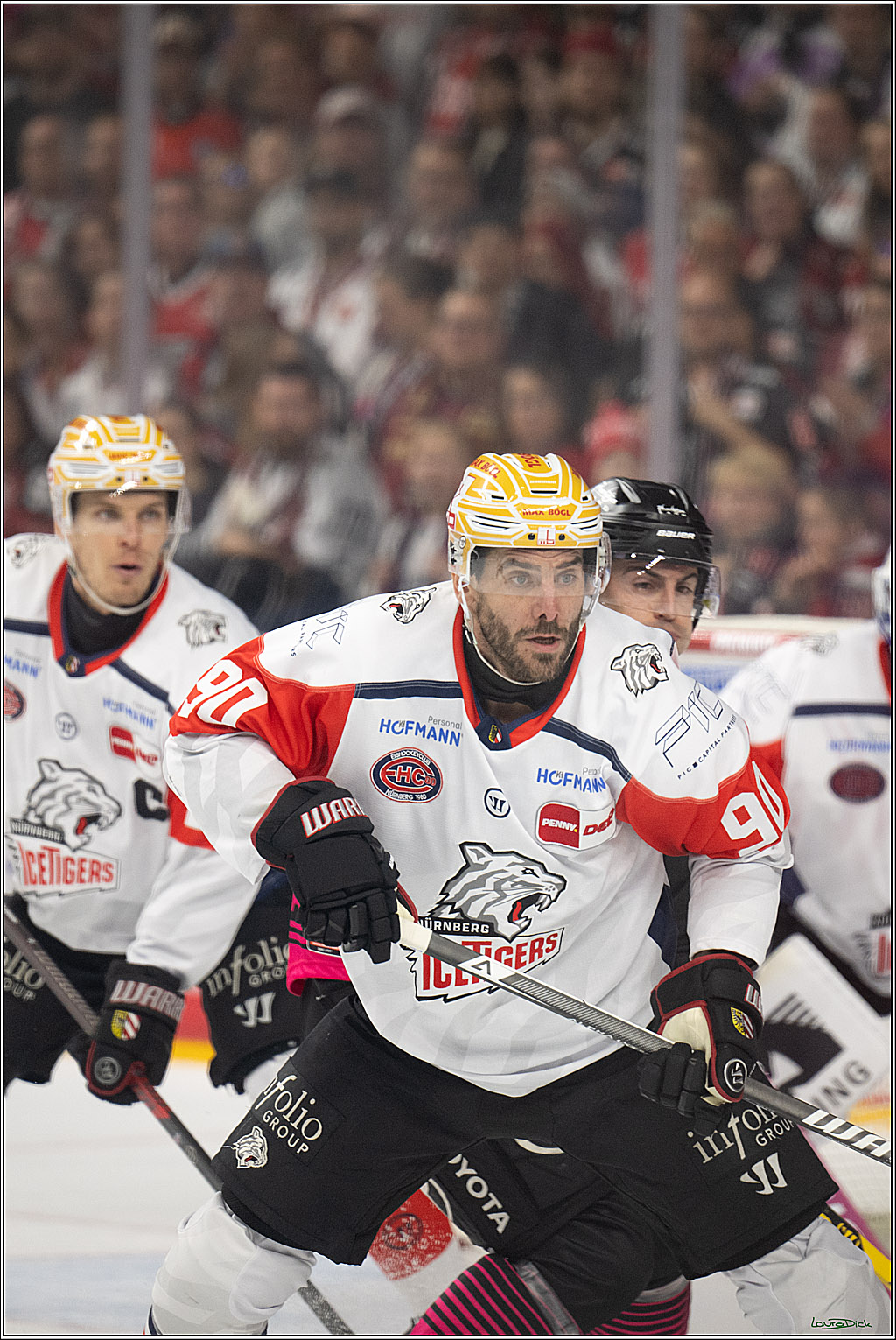 PENNY DEL 1; Kölner Haie - Nürnberg Ice Tigers; Köln, 11.10.2026