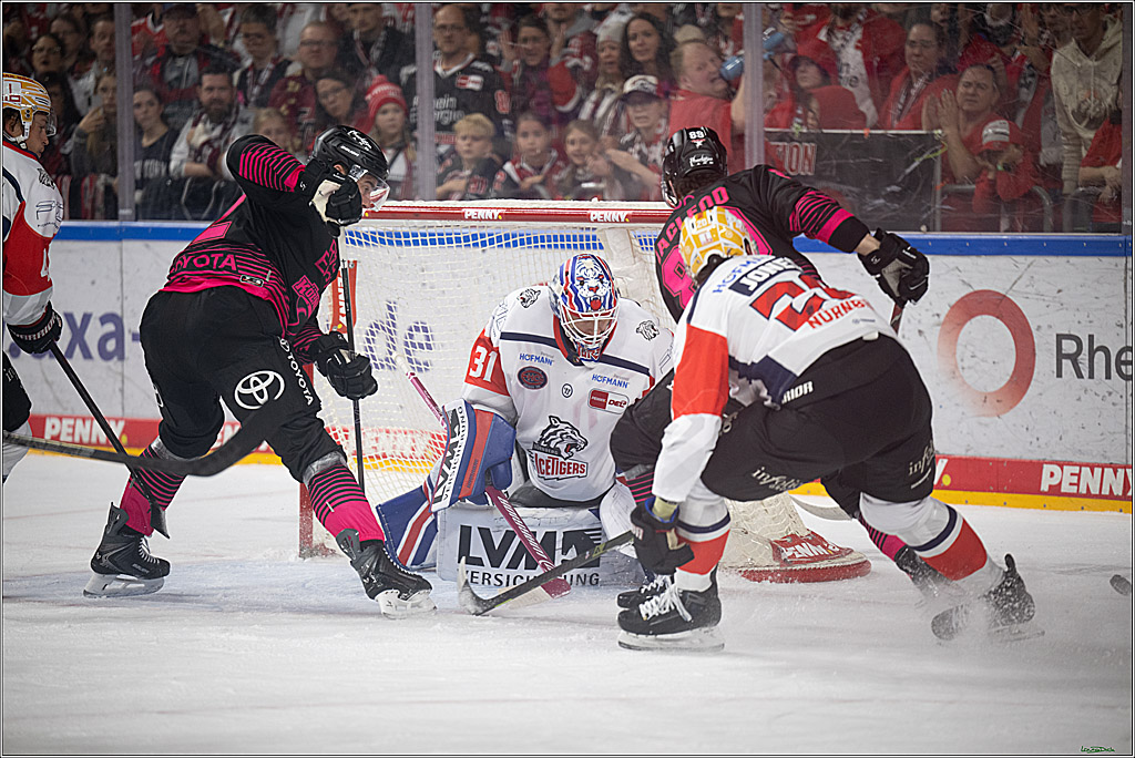 PENNY DEL 1; Kölner Haie - Nürnberg Ice Tigers; Köln, 11.10.2026