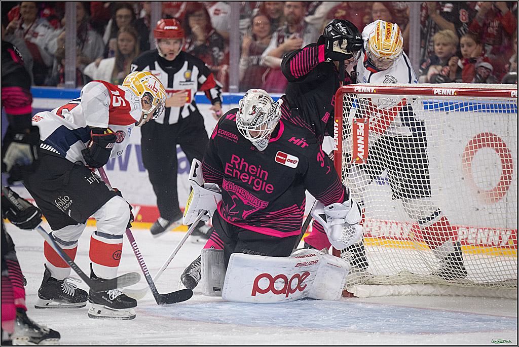 PENNY DEL 1; Kölner Haie - Nürnberg Ice Tigers; Köln, 11.10.2026