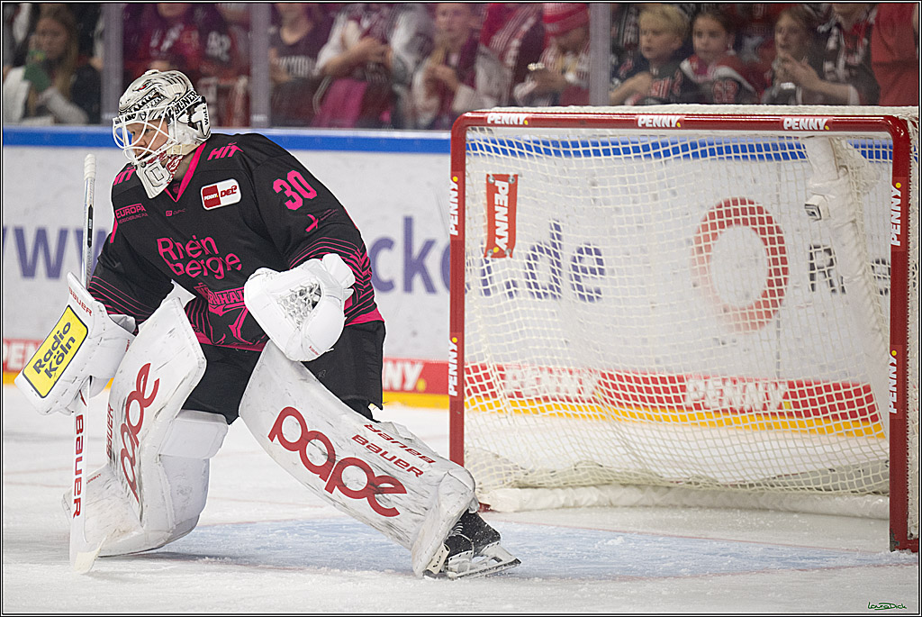 PENNY DEL 1; Kölner Haie - Nürnberg Ice Tigers; Köln, 11.10.2026