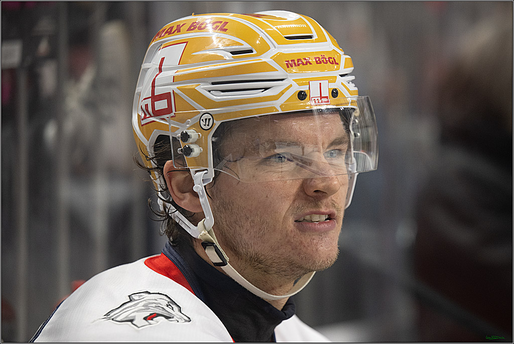 PENNY DEL 1; Kölner Haie - Nürnberg Ice Tigers; Köln, 11.10.2026