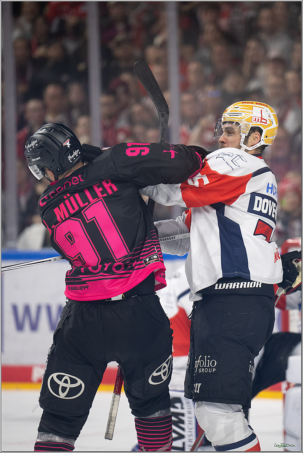PENNY DEL 1; Kölner Haie - Nürnberg Ice Tigers; Köln, 11.10.2026