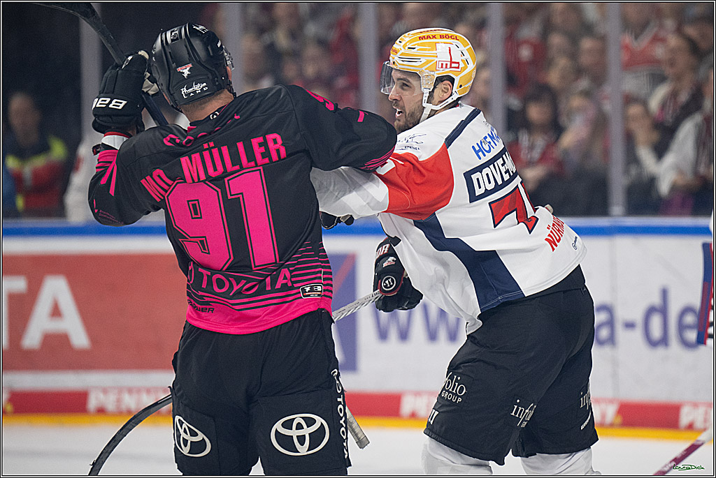 PENNY DEL 1; Kölner Haie - Nürnberg Ice Tigers; Köln, 11.10.2026