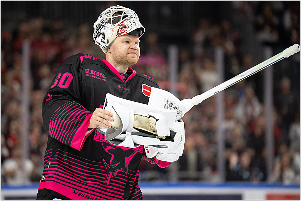 PENNY DEL 1; Kölner Haie - Nürnberg Ice Tigers; Köln, 11.10.2026