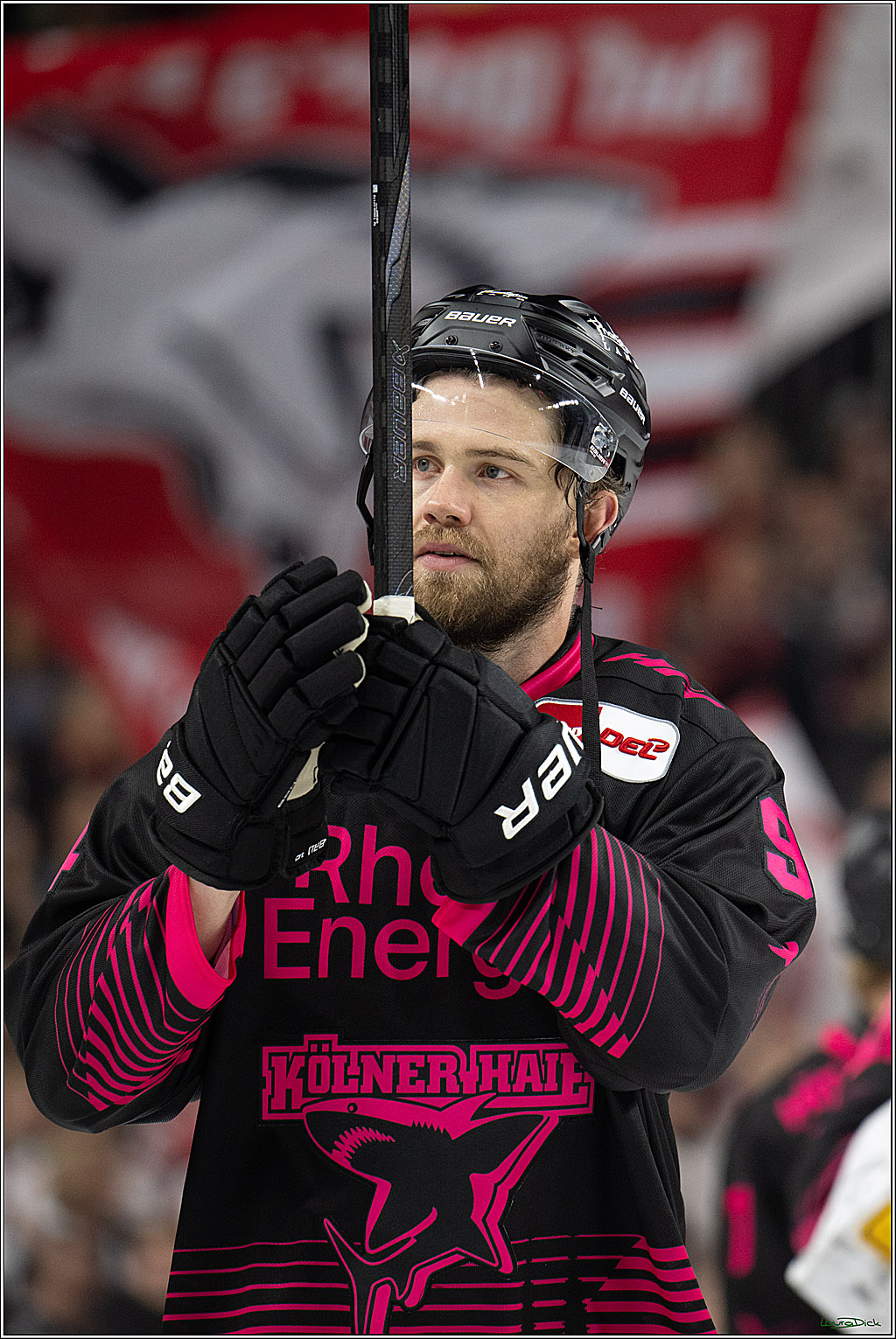 PENNY DEL 1; Kölner Haie - Nürnberg Ice Tigers; Köln, 11.10.2026