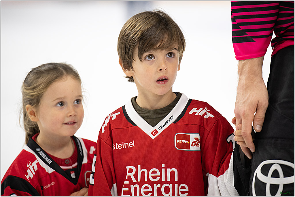 PENNY DEL 1; Kölner Haie - Nürnberg Ice Tigers; Köln, 11.10.2026