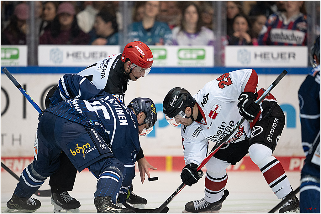 PENNY DEL 1; Iserlohn Roosters - Kölner Haie; Iserlohn, 16.10.2026
