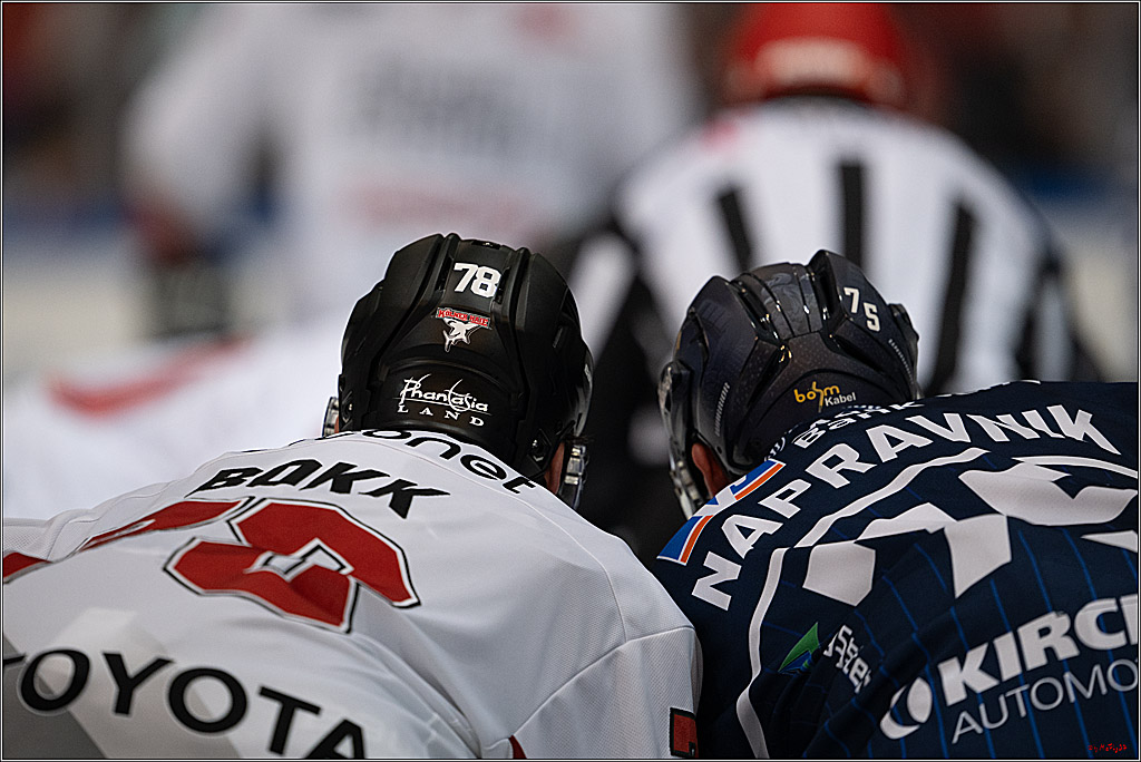 PENNY DEL 1; Iserlohn Roosters - Kölner Haie; Iserlohn, 16.10.2026