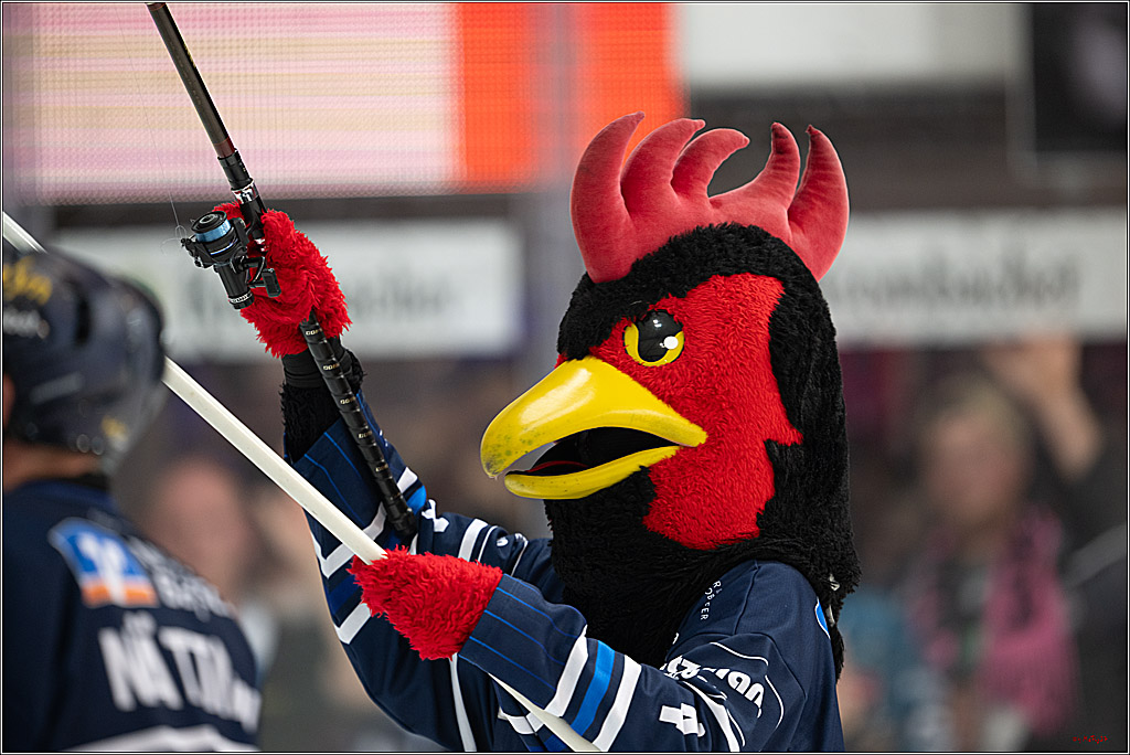 PENNY DEL 1; Iserlohn Roosters - Kölner Haie; Iserlohn, 16.10.2026