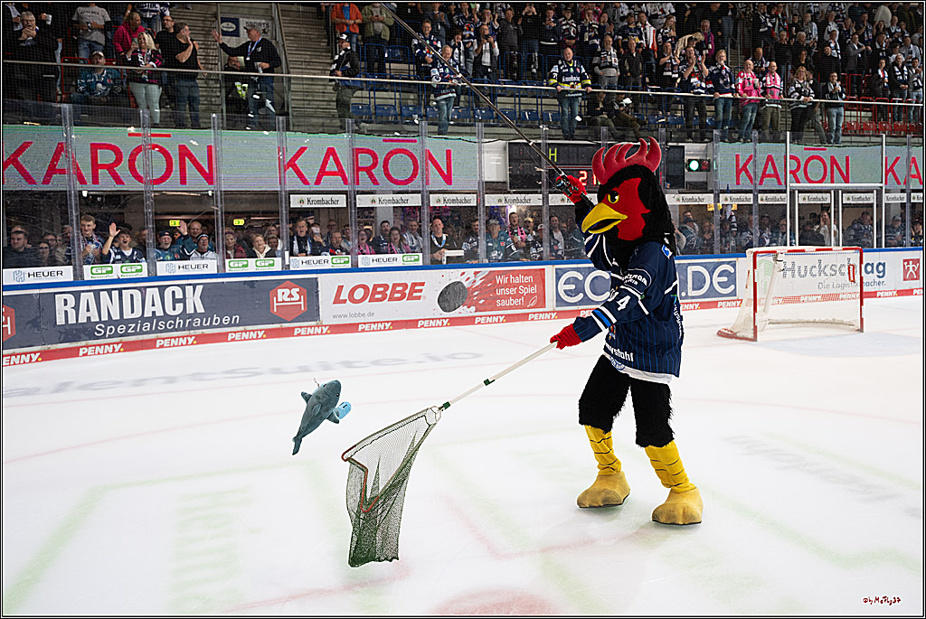 PENNY DEL 1; Iserlohn Roosters - Kölner Haie; Iserlohn, 16.10.2026