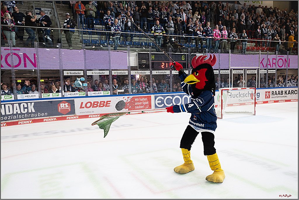 PENNY DEL 1; Iserlohn Roosters - Kölner Haie; Iserlohn, 16.10.2026