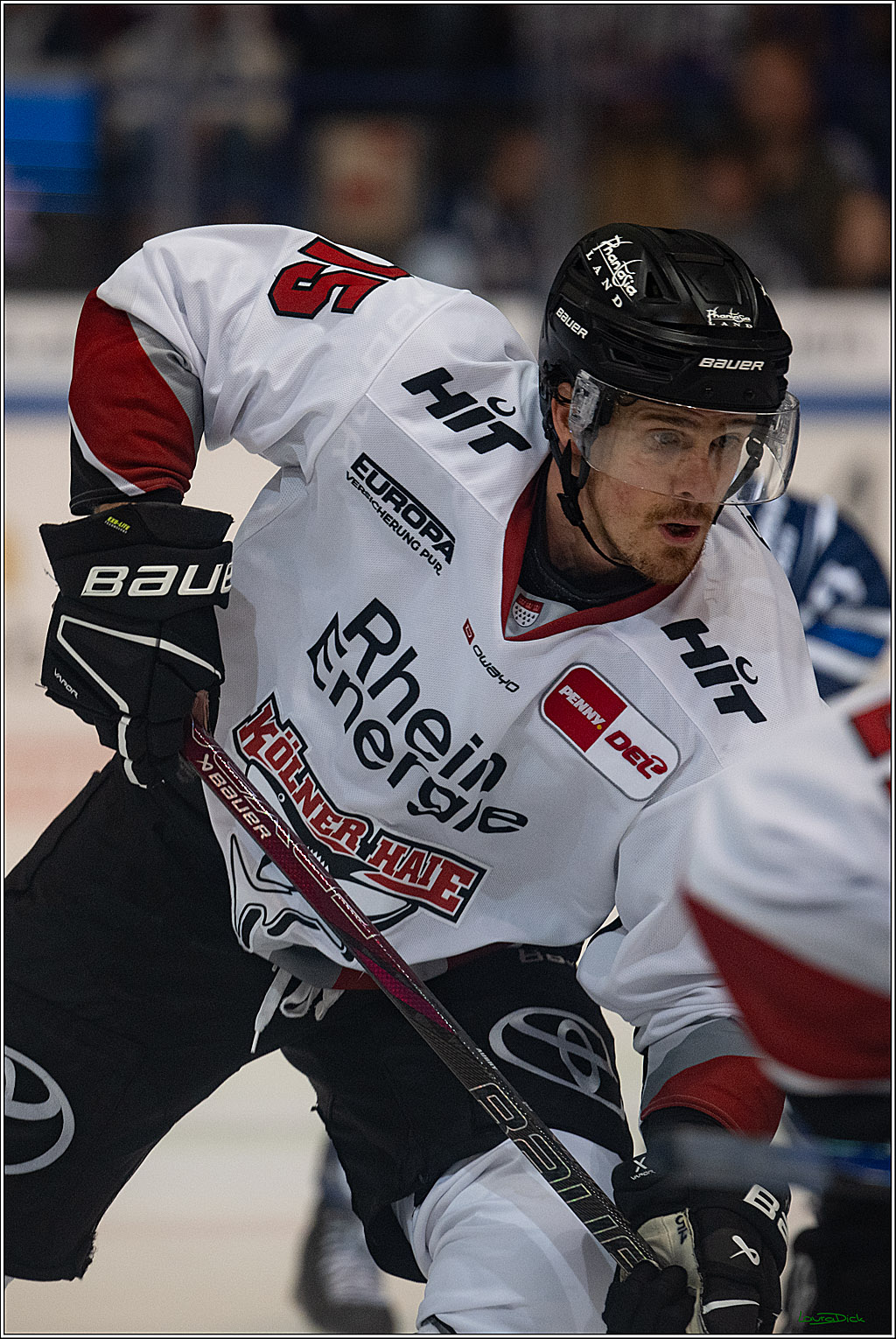 PENNY DEL 1; Iserlohn Roosters - Kölner Haie; Iserlohn, 16.10.2026
