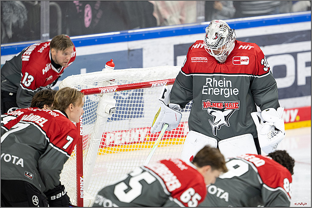 PENNY DEL 1; Kölner Haie - Fischtown Pinguins Bremerhaven; Köln, 18.10.2026