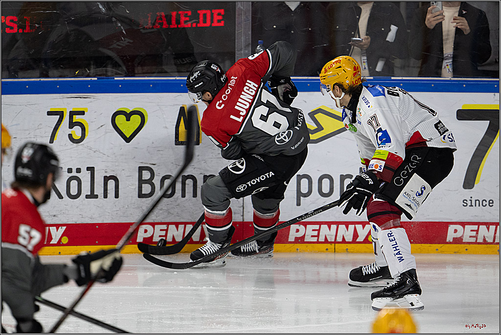 PENNY DEL 1; Kölner Haie - Fischtown Pinguins Bremerhaven; Köln, 18.10.2026