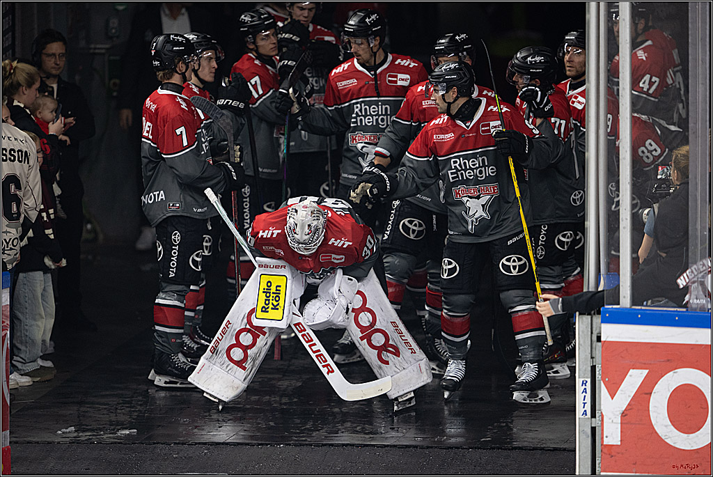 PENNY DEL 1; Kölner Haie - Fischtown Pinguins Bremerhaven; Köln, 18.10.2026