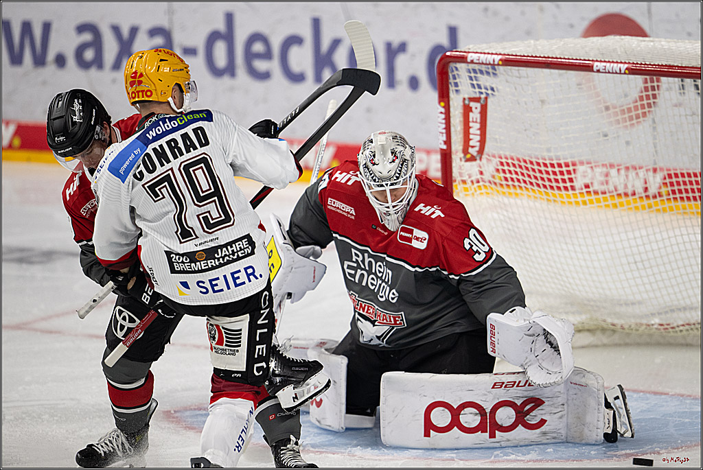 PENNY DEL 1; Kölner Haie - Fischtown Pinguins Bremerhaven; Köln, 18.10.2026