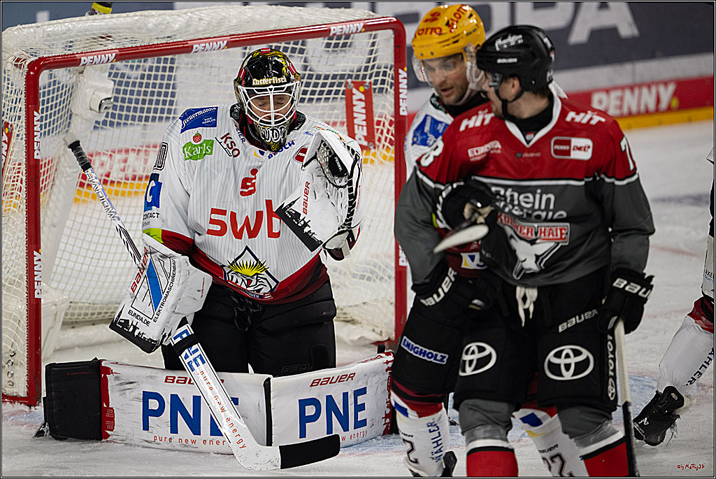 PENNY DEL 1; Kölner Haie - Fischtown Pinguins Bremerhaven; Köln, 18.10.2026