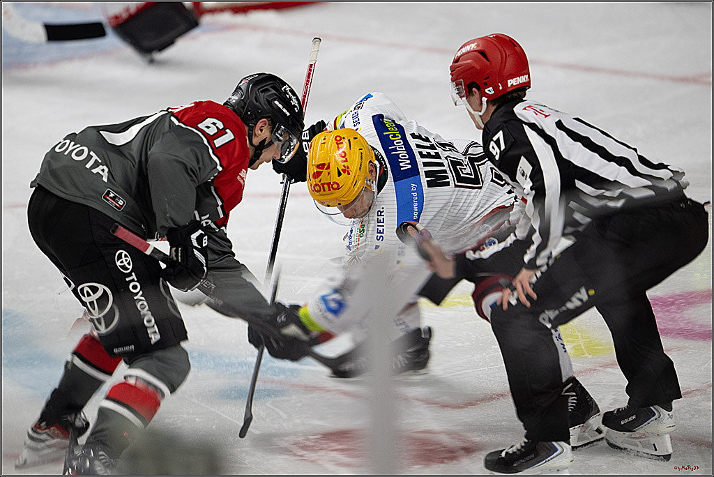 PENNY DEL 1; Kölner Haie - Fischtown Pinguins Bremerhaven; Köln, 18.10.2026