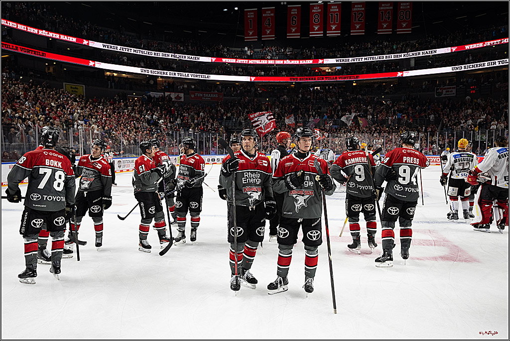 PENNY DEL 1; Kölner Haie - Fischtown Pinguins Bremerhaven; Köln, 18.10.2026
