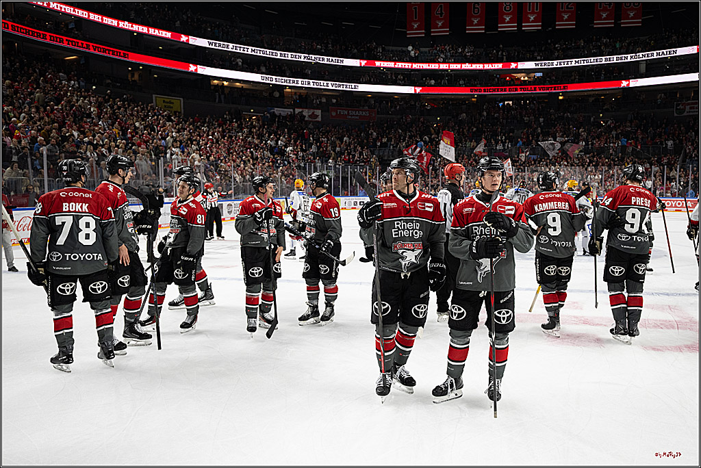 PENNY DEL 1; Kölner Haie - Fischtown Pinguins Bremerhaven; Köln, 18.10.2026