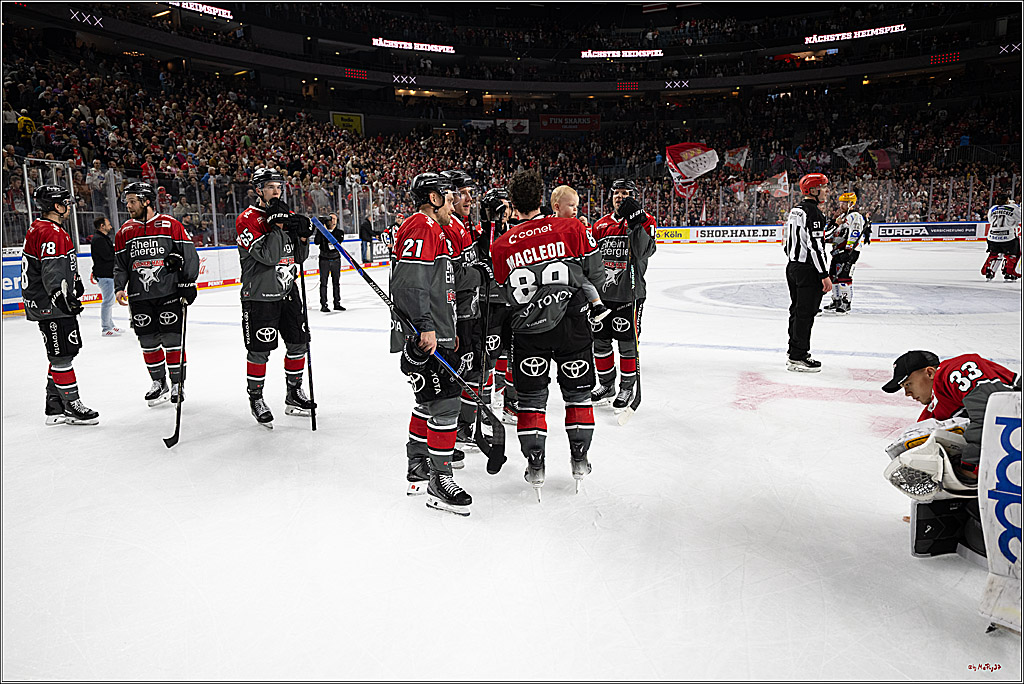 PENNY DEL 1; Kölner Haie - Fischtown Pinguins Bremerhaven; Köln, 18.10.2026
