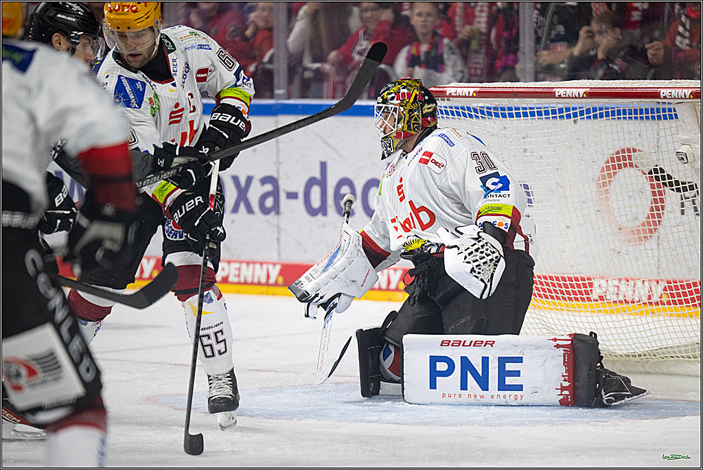 PENNY DEL 1; Kölner Haie - Fischtown Pinguins Bremerhaven; Köln, 18.10.2026
