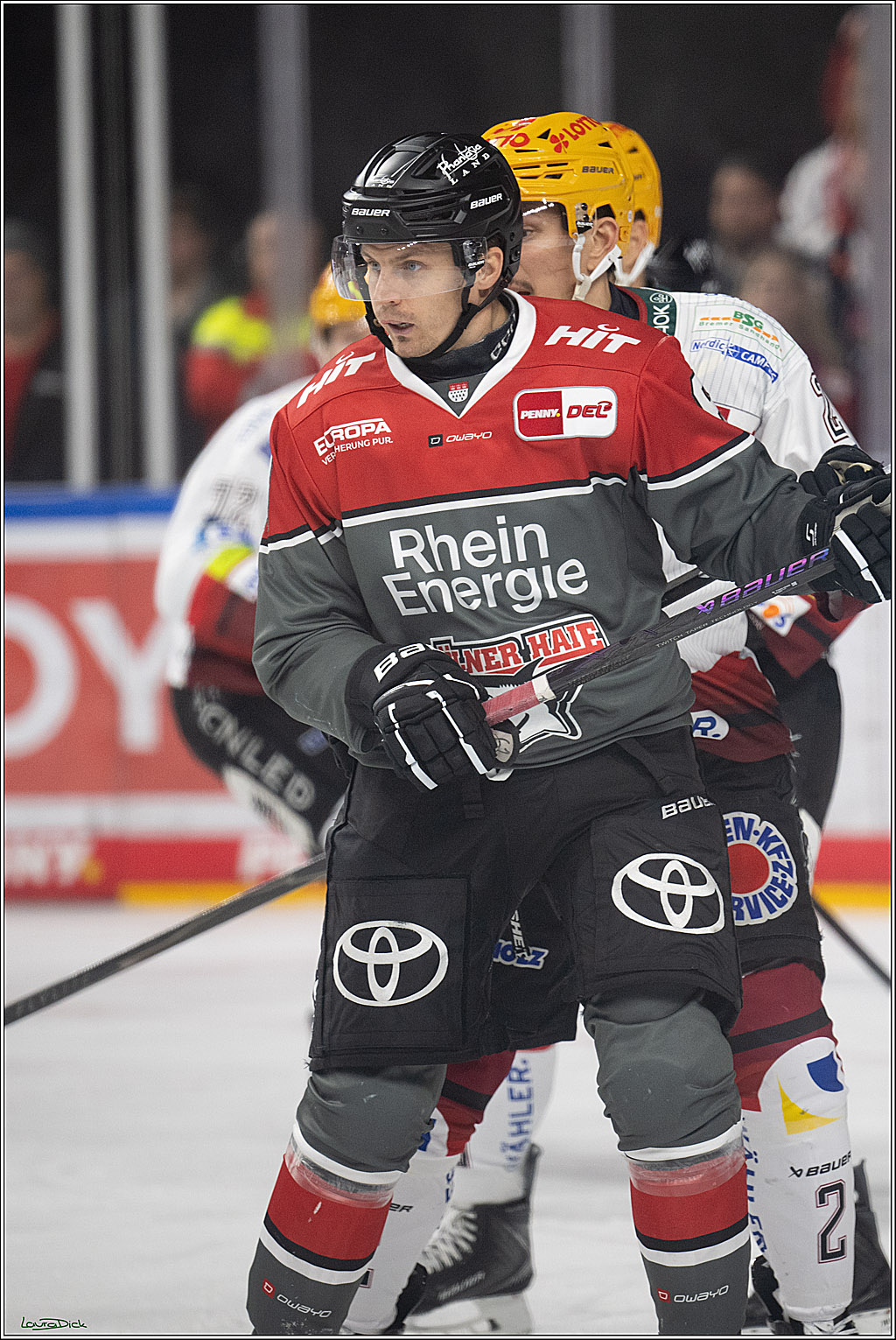 PENNY DEL 1; Kölner Haie - Fischtown Pinguins Bremerhaven; Köln, 18.10.2026