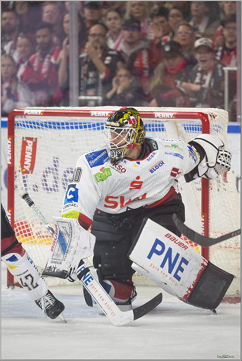PENNY DEL 1; Kölner Haie - Fischtown Pinguins Bremerhaven; Köln, 18.10.2026