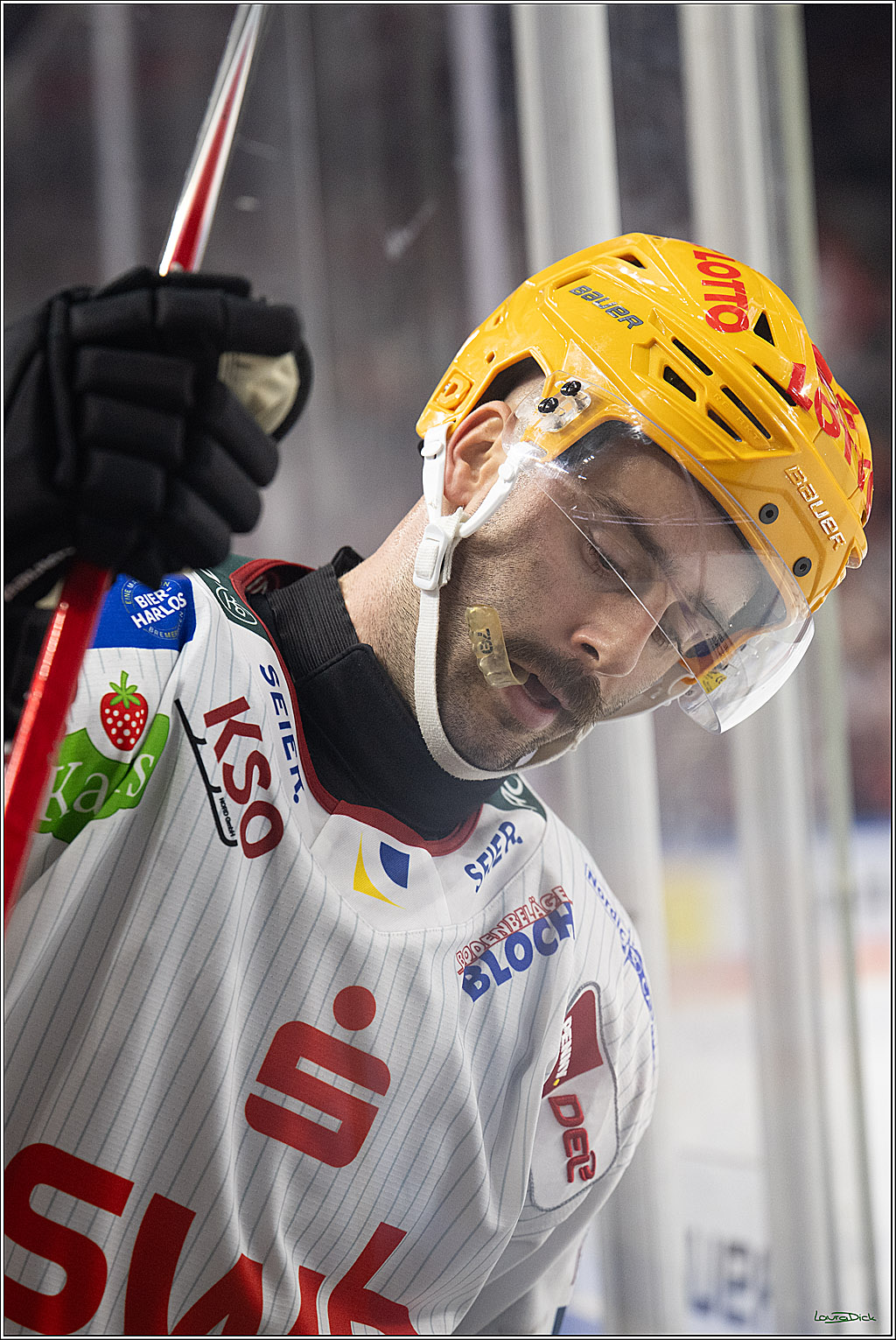 PENNY DEL 1; Kölner Haie - Fischtown Pinguins Bremerhaven; Köln, 18.10.2026