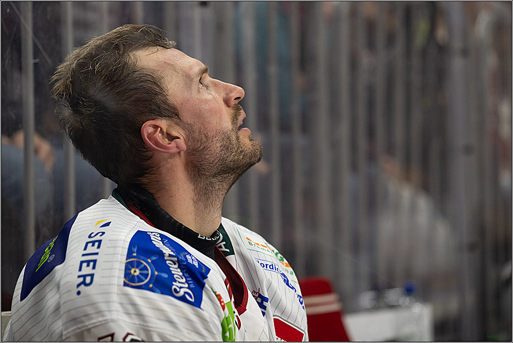 PENNY DEL 1; Kölner Haie - Fischtown Pinguins Bremerhaven; Köln, 18.10.2026