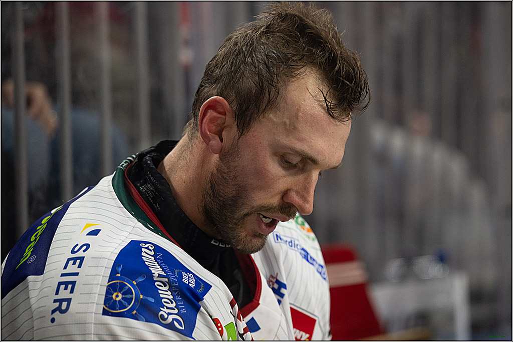 PENNY DEL 1; Kölner Haie - Fischtown Pinguins Bremerhaven; Köln, 18.10.2026