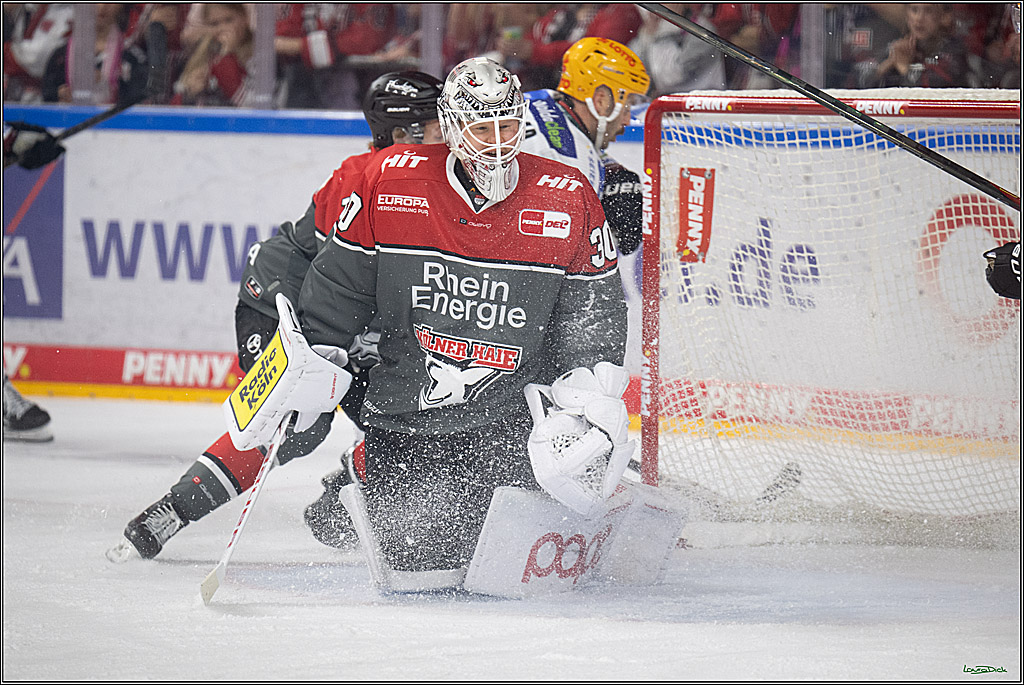 PENNY DEL 1; Kölner Haie - Fischtown Pinguins Bremerhaven; Köln, 18.10.2026