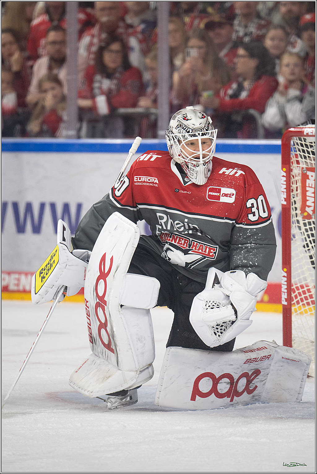 PENNY DEL 1; Kölner Haie - Fischtown Pinguins Bremerhaven; Köln, 18.10.2026