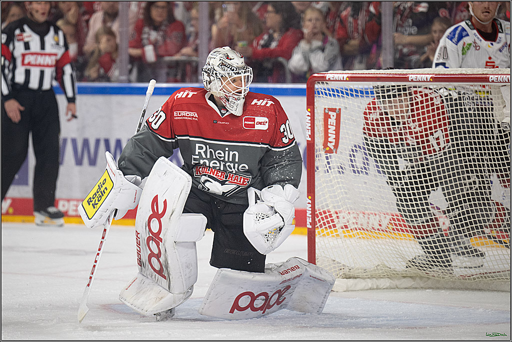 PENNY DEL 1; Kölner Haie - Fischtown Pinguins Bremerhaven; Köln, 18.10.2026