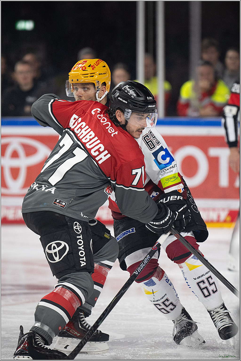 PENNY DEL 1; Kölner Haie - Fischtown Pinguins Bremerhaven; Köln, 18.10.2026