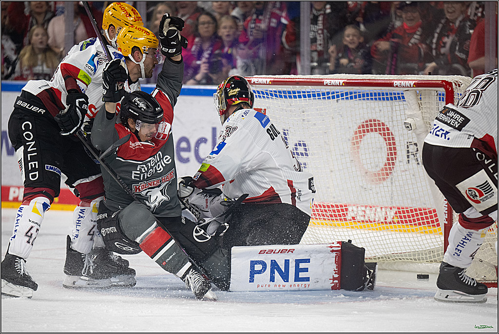 PENNY DEL 1; Kölner Haie - Fischtown Pinguins Bremerhaven; Köln, 18.10.2026