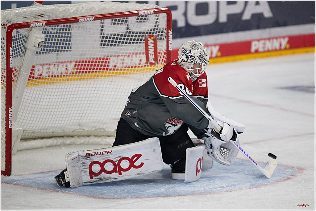 PENNY DEL 1; Kölner Haie - Schwenninger Wild Wings; Köln, 20.10.2026