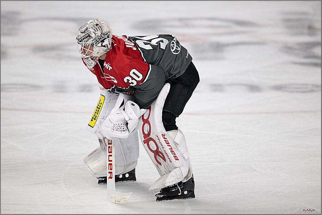 PENNY DEL 1; Kölner Haie - Schwenninger Wild Wings; Köln, 20.10.2026
