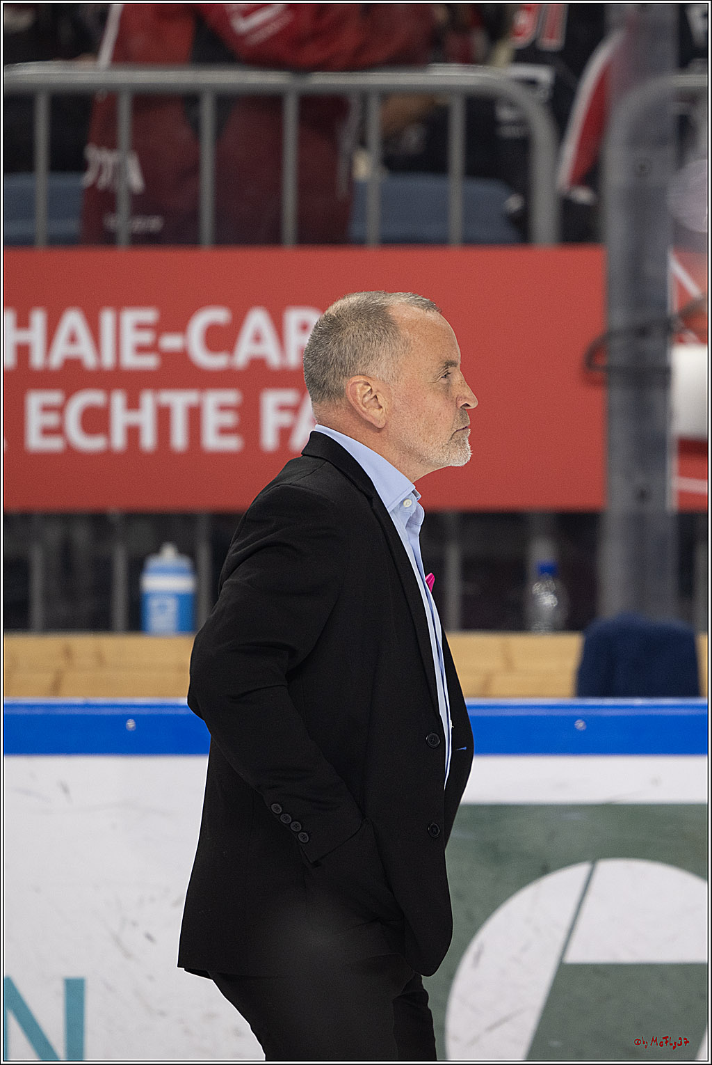PENNY DEL 1; Kölner Haie - Schwenninger Wild Wings; Köln, 20.10.2026