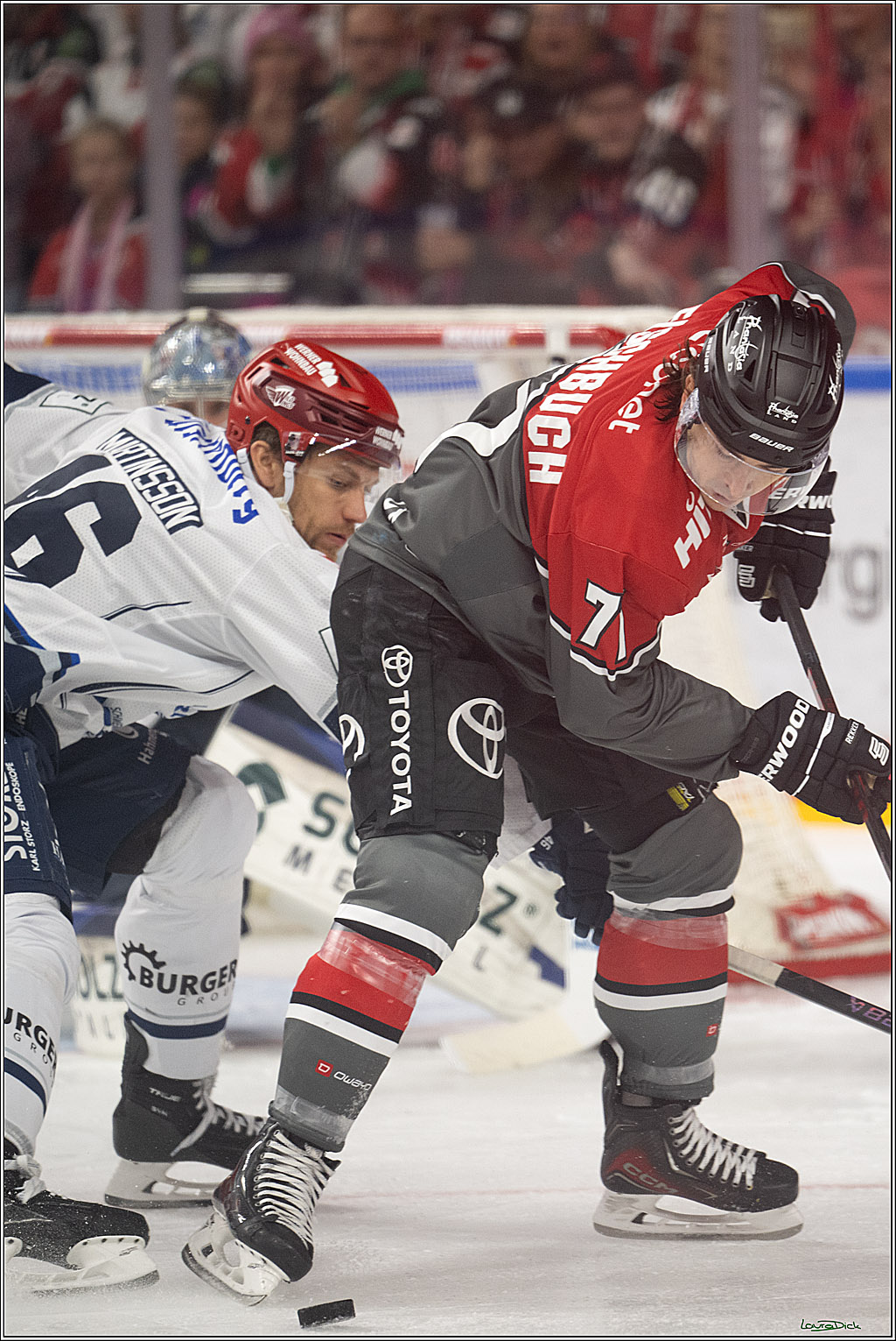 PENNY DEL 1; Kölner Haie - Schwenninger Wild Wings; Köln, 20.10.2026
