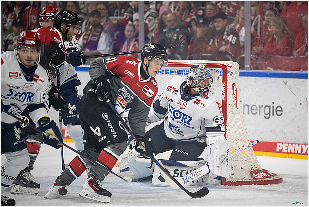 PENNY DEL 1; Kölner Haie - Schwenninger Wild Wings; Köln, 20.10.2026