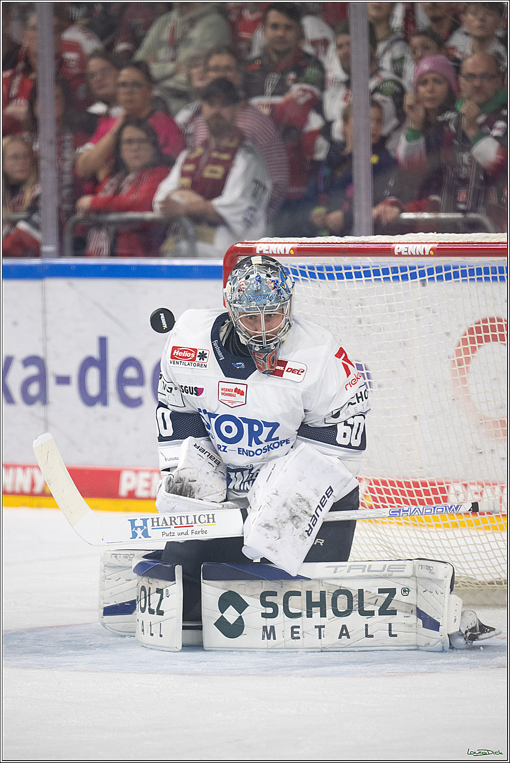 PENNY DEL 1; Kölner Haie - Schwenninger Wild Wings; Köln, 20.10.2026