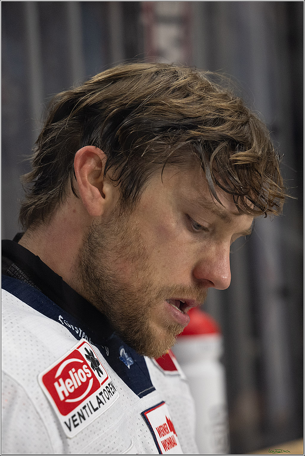 PENNY DEL 1; Kölner Haie - Schwenninger Wild Wings; Köln, 20.10.2026